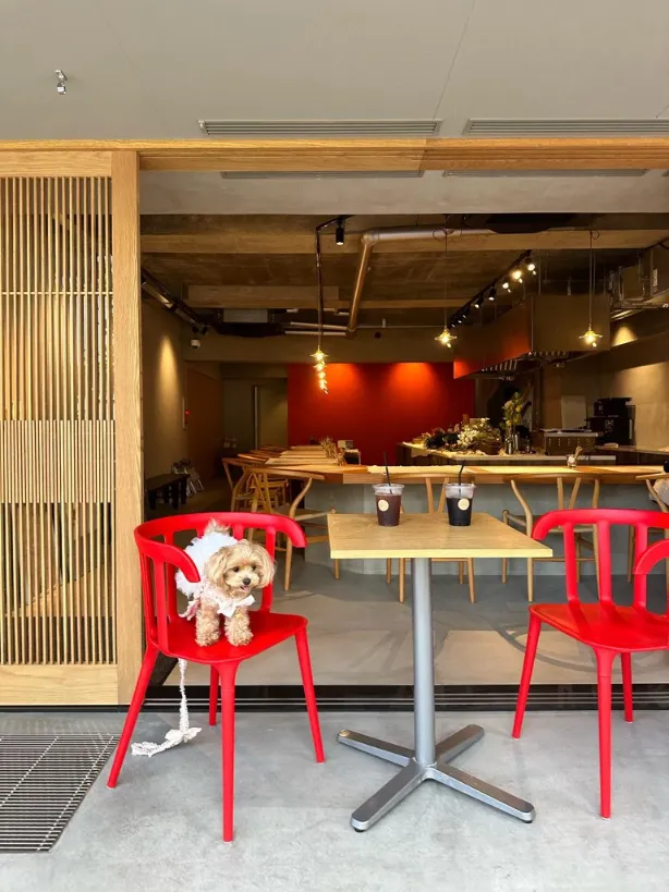 ノアンのテラス席はワンちゃんもOK