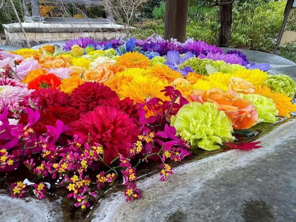 光明寺　花手水