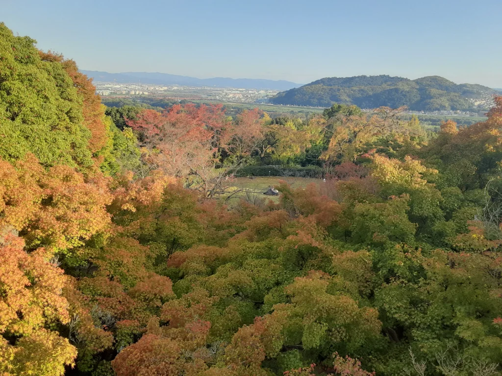 大山崎山荘美術館　紅葉