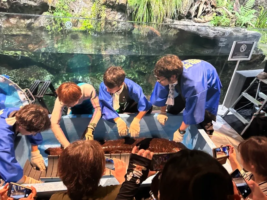 京都水族館のオオサンショウウオの日　測定会のようす