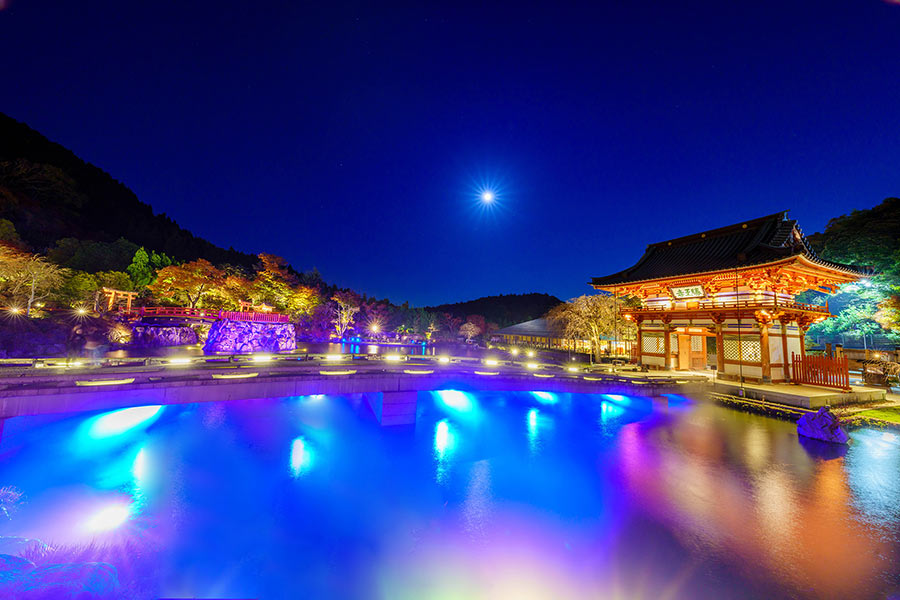 ライトアップされた勝尾寺