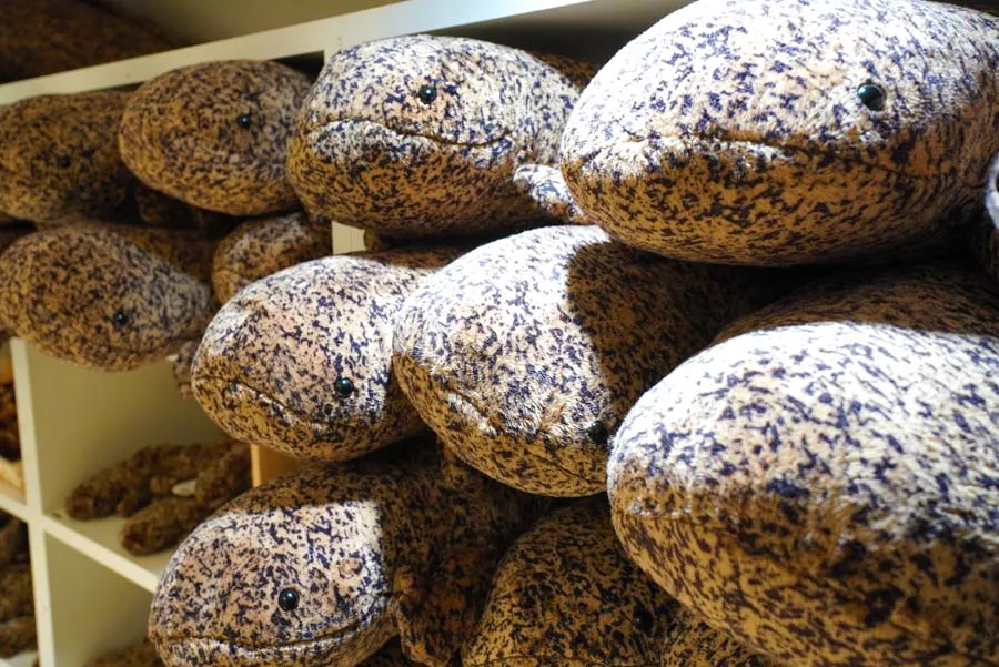 京都水族館のオオサンショウウオのぬいぐるみLサイズ