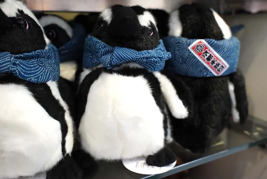 京都水族館のケープペンギンをモデルにした旅するぬいぐるみ