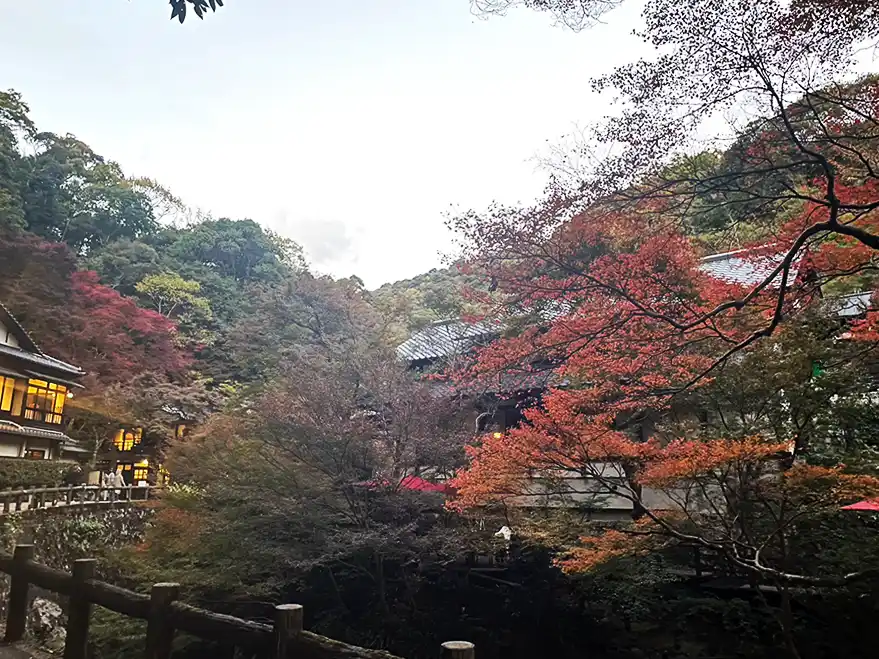 箕面公園入口付近の紅葉