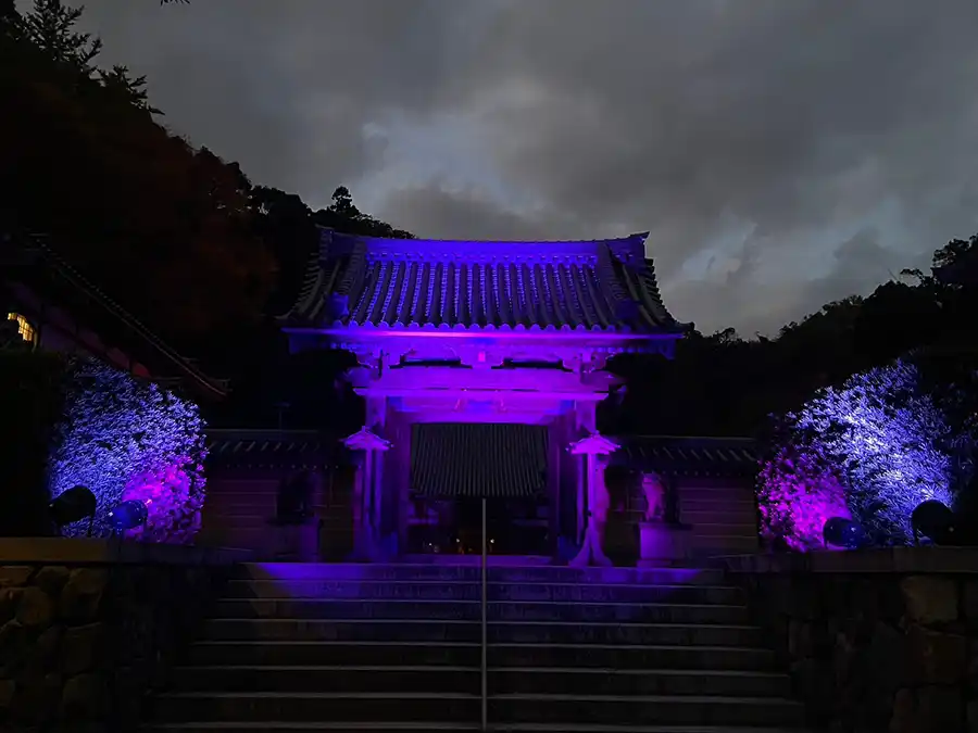 ライトアップされた瀧安寺