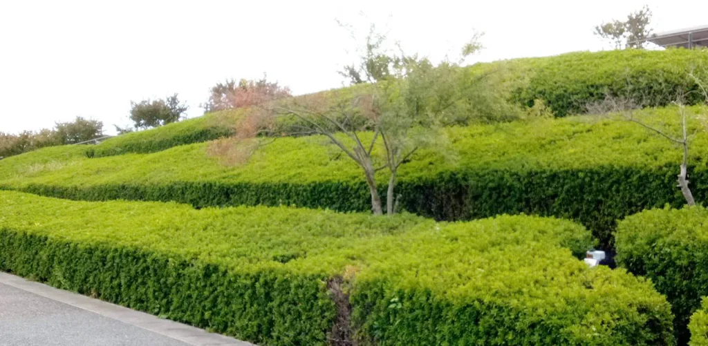 伊丹スカイパーク　つつじの丘