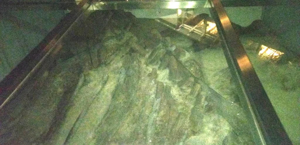 伊丹スカイパーク　岩屋遺跡出土堰遺構