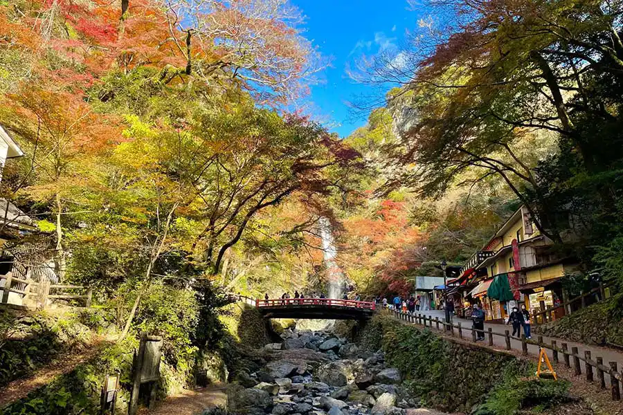 紅葉した箕面の滝