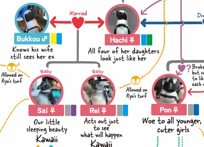 京都ペンギン相関図 英語版