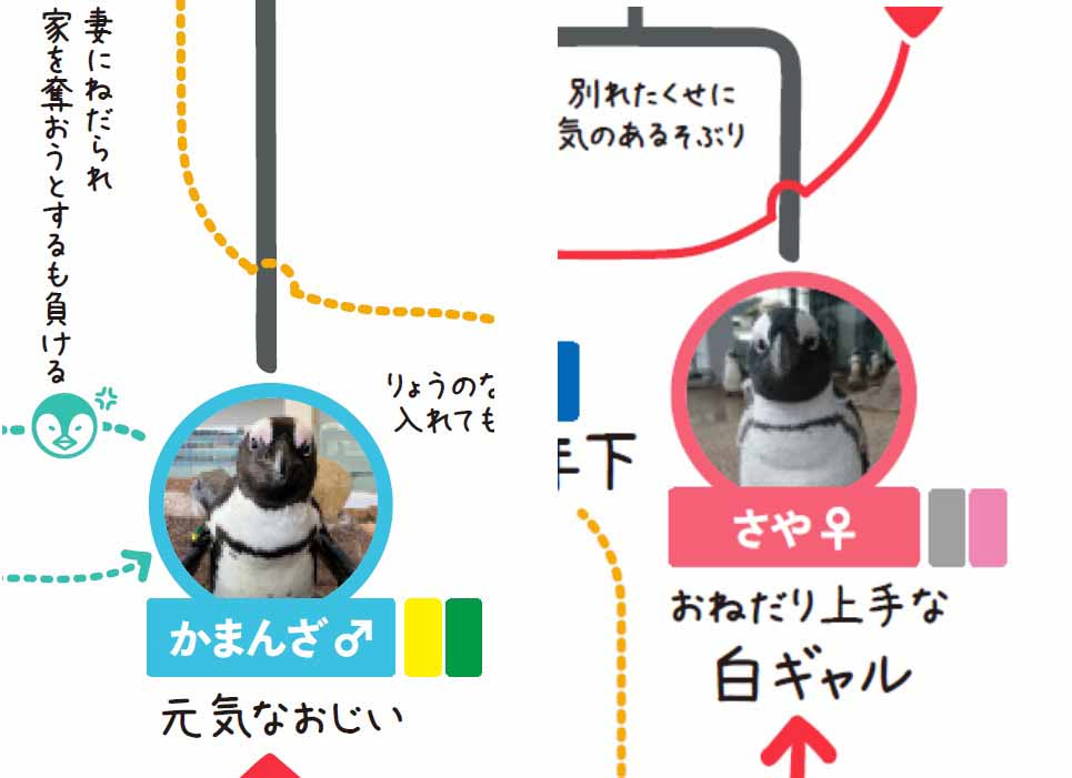 京都ペンギン相関図 夫婦