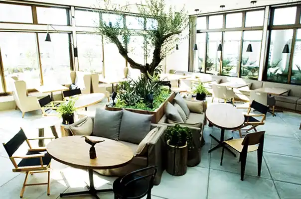 ビルの中だが開放感抜群の野菜ビストロレギューム