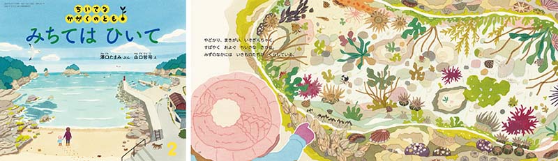 自然史のイラストレーション　大阪市立博物館