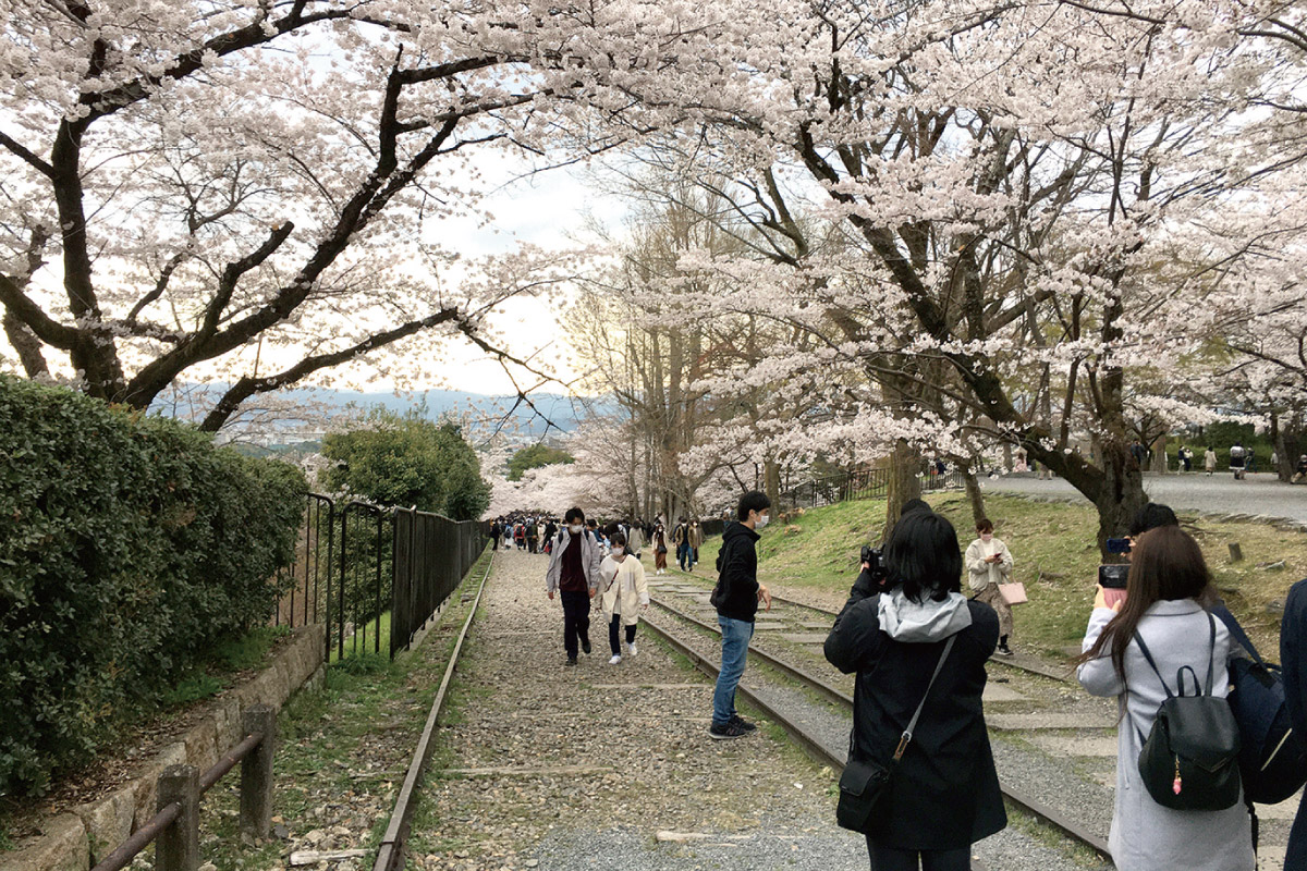 春の京都を巡るウオーキングイベント4月17日（水）開催！蹴上インクラインから琵琶湖疏水を巡る 阪急・京阪 特選！ニコニコウオーク