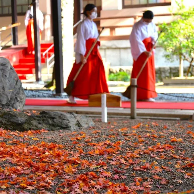 湊川神社　紅葉