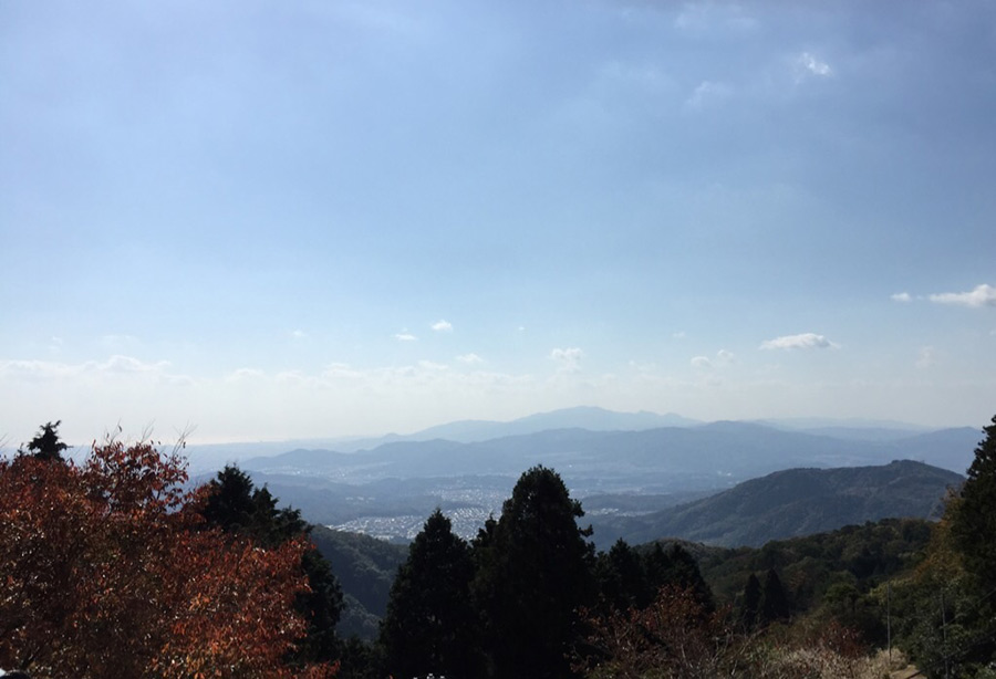 春の芽吹きを感じに妙見山へ。のせでん早春ハイキング 3月20日（水・祝）開催 初谷渓谷から能勢妙見山・ピーク444コース