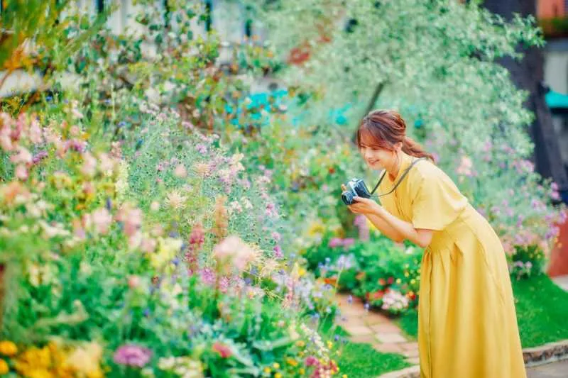 ウェルカムガーデン