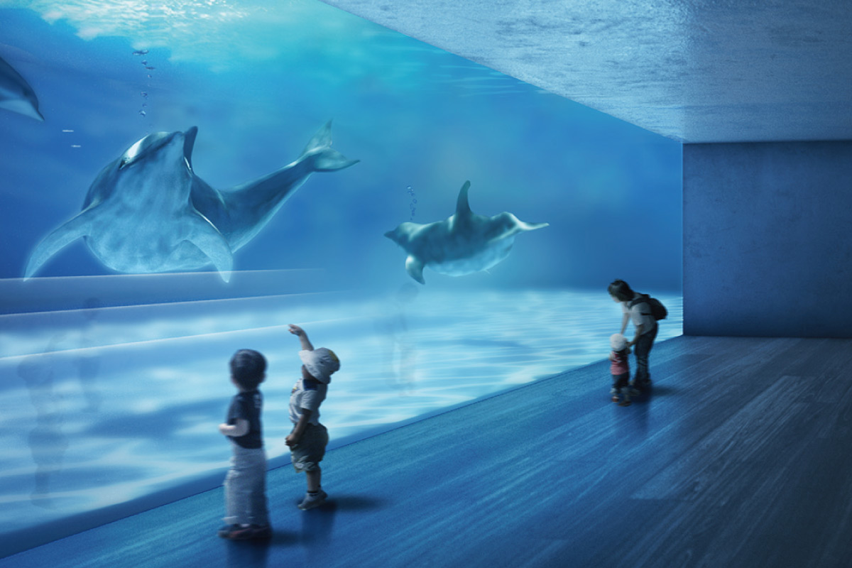 神戸・スマスイ跡地に新水族館「神戸須磨シーワールド 」が6月1日（土）オープン！西日本で唯一シャチに会える！