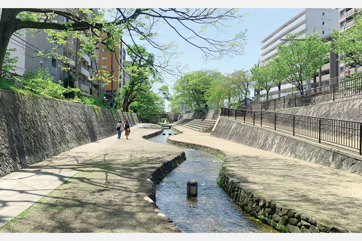 光る君へ～源氏物語ゆかりの地を巡るウオーキングイベント6月29日（土）開催。廬山寺から京都御所・晴明神社・二条城コース