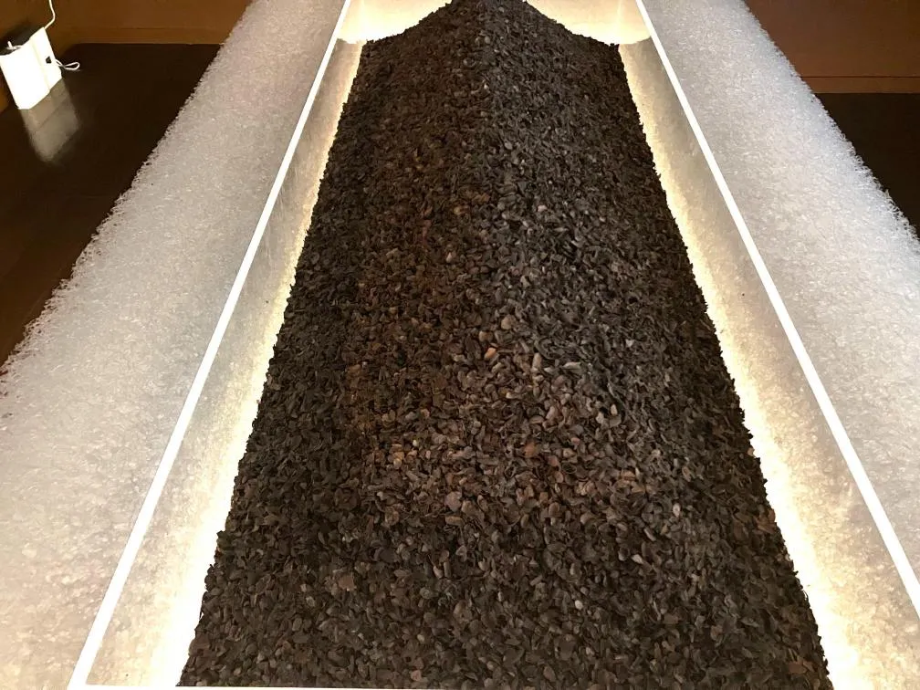 フェリシモチョコレートミュージアム　カカオハスク①