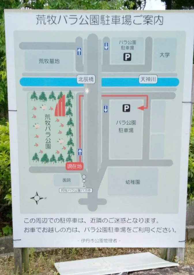 荒牧バラ公園 5月下旬