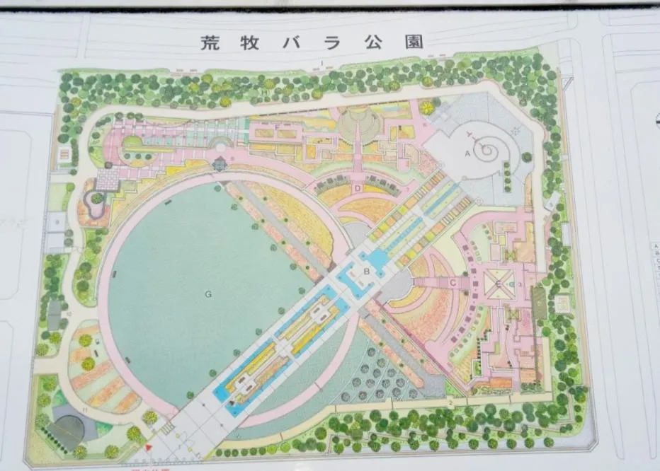 荒牧バラ公園 5月下旬