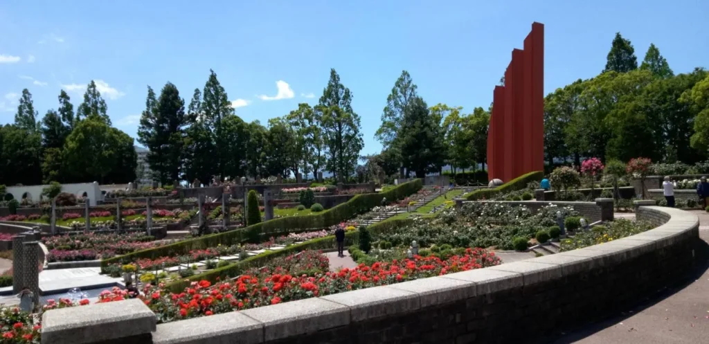 荒牧バラ公園 5月下旬