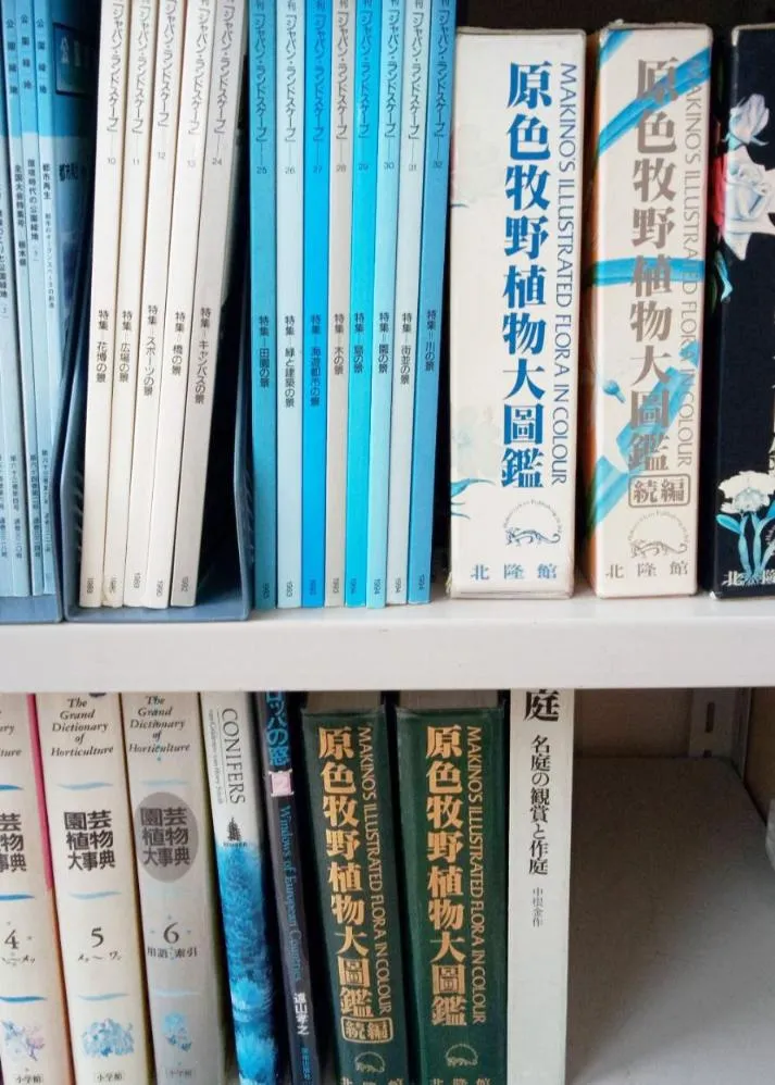 荒牧バラ公園 5月下旬