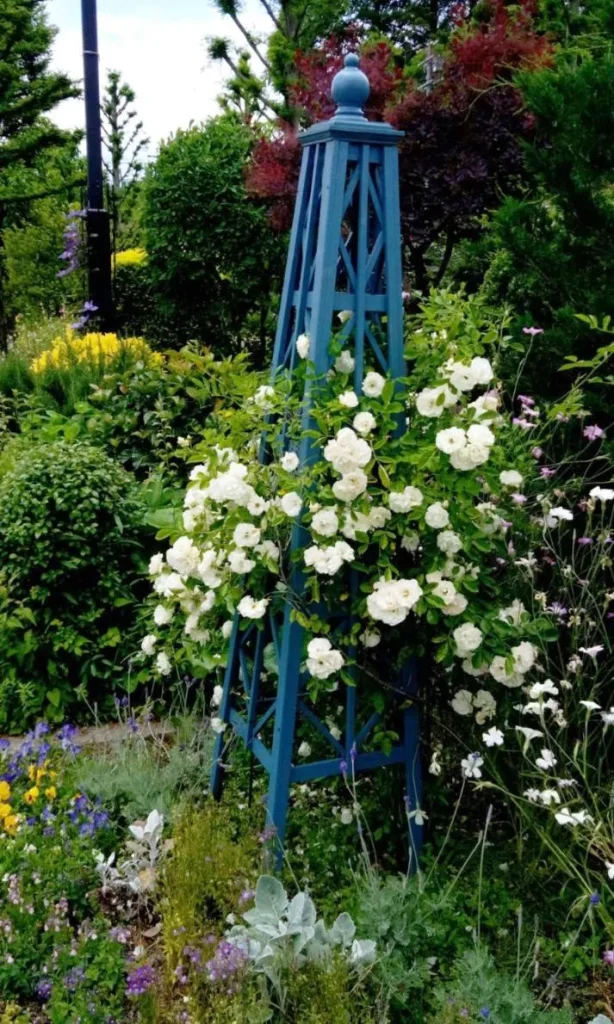 荒牧バラ公園 5月下旬