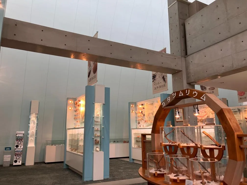 西宮市貝類館　安藤忠雄建築