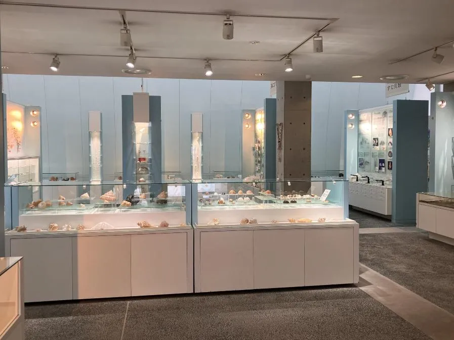 西宮市貝類館　安藤忠雄建築