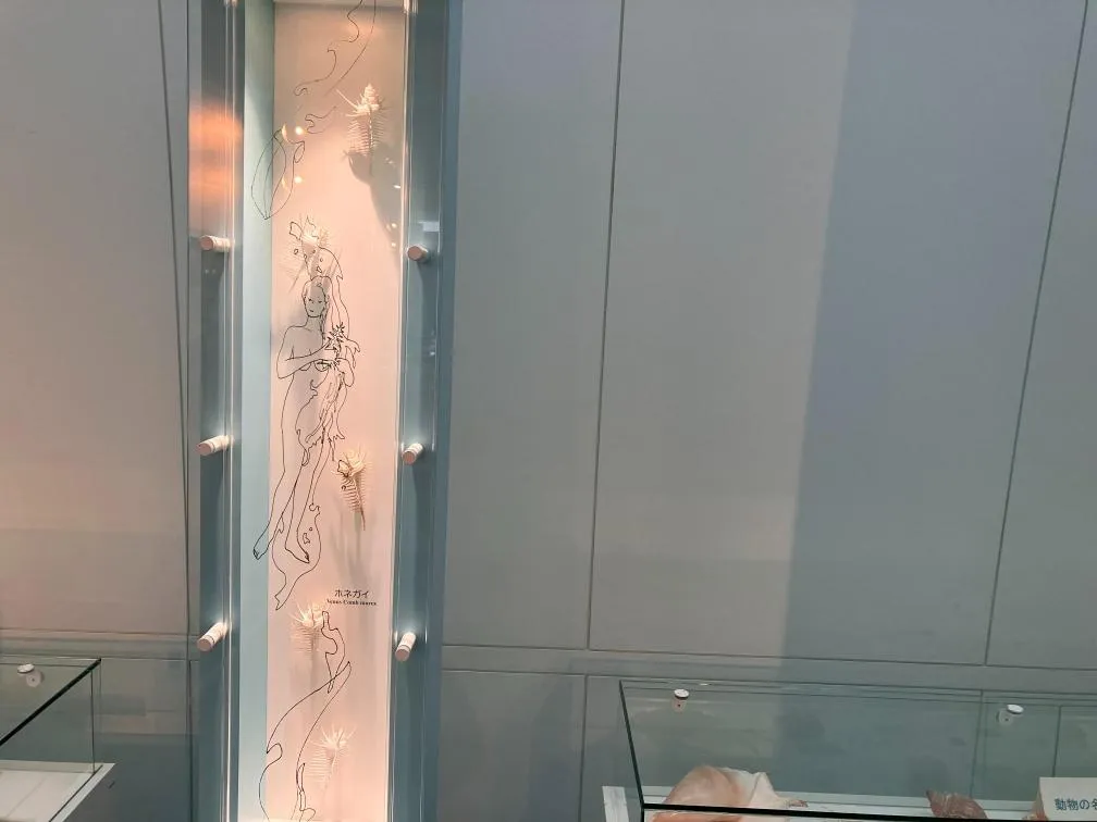 西宮市貝類館　安藤忠雄建築