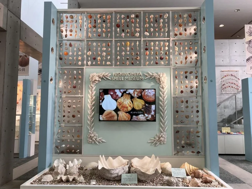 西宮市貝類館　エントランス