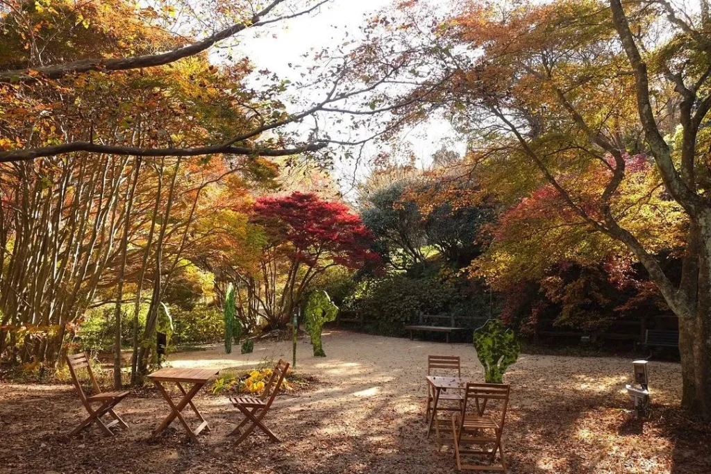 六甲高山植物園　紅葉