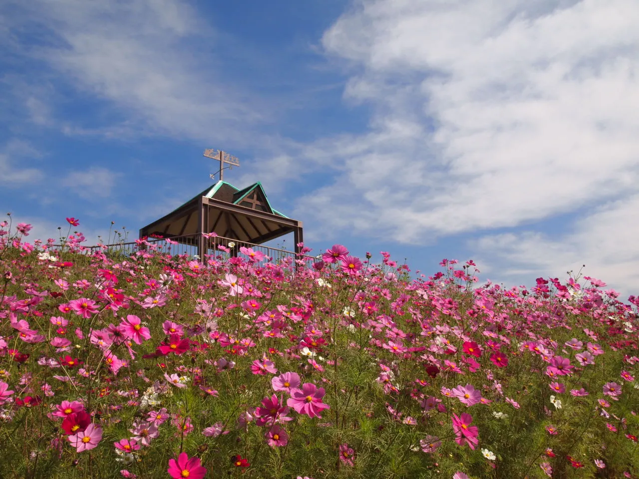 休日は話題のスポットへ。10月15～21日のイベント情報