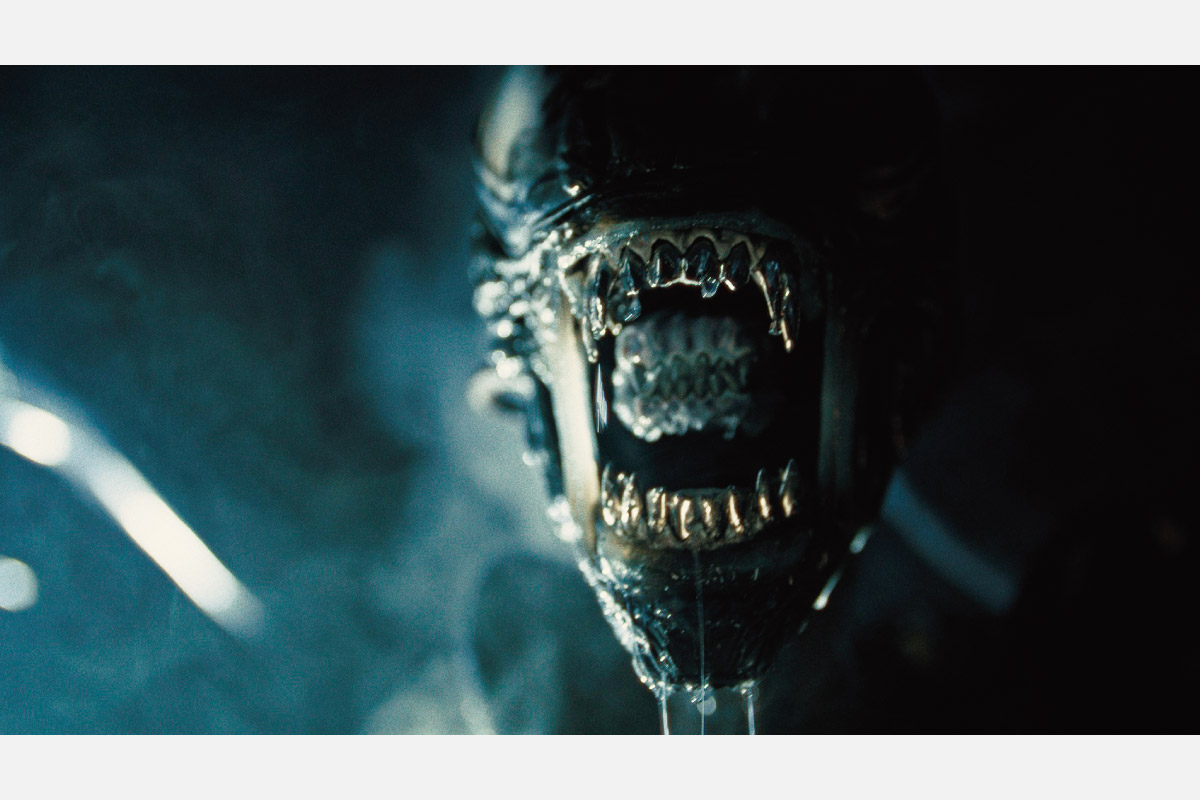 読者プレゼントあり＜映画情報＞広大な宇宙の密室で起こる究極のサバイバル・スリラー「エイリアン：ロムルス」9月6日（金）公開
