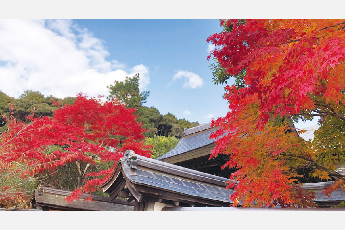 ＜宝塚線編＞阪急沿線の秋景色をめぐる。阪急沿線で紅葉ハイキングを楽しもう【TOKK2024年11月号】