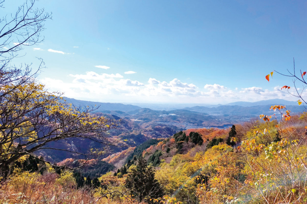 のせでん第1木曜ハイキング11月7日（木）開催！大阪「山に親しむ推進月間」に山登り「初谷渓谷から妙見山・上杉尾根・ピーク444コース」