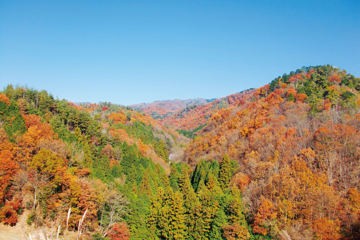 のせでん平日ハイキング11月20日（水）開催！大阪「山に親しむ推進月間」に山登りVOL.2「吉川峠から青貝山・箕面森町コース」