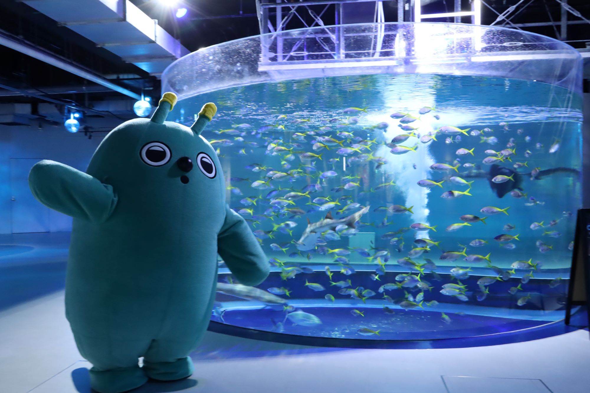 AQUARIUM×ART átoa（アトア）に公式マスコットキャラクター「スピ」が誕生！