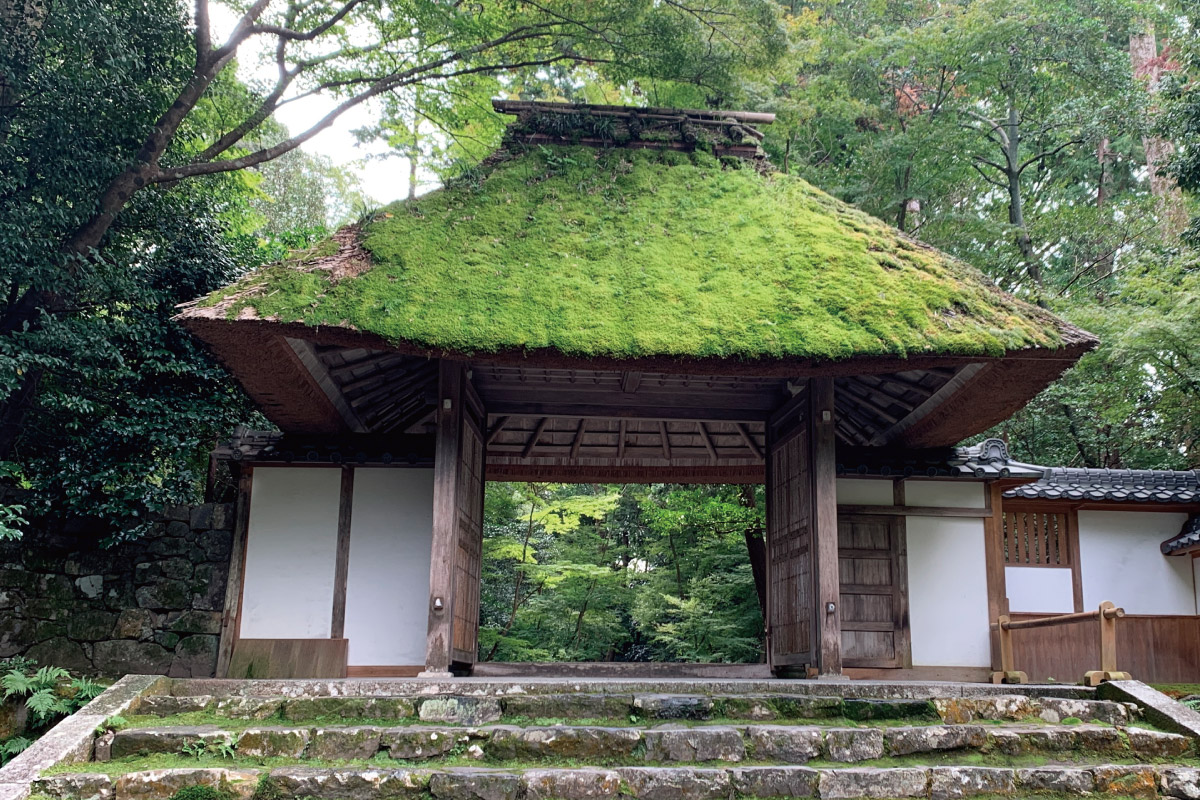 2024年の歩き納め 師走の京都を歩く「哲学の道から法然院、金戒光明寺コース」12月25日（水）開催