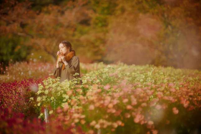 神戸布引ハーブ園/ロープウェイ