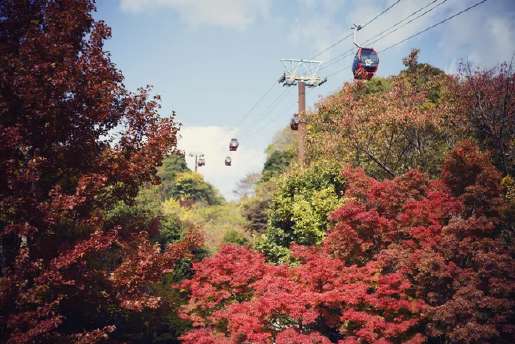 神戸布引ハーブ園/ロープウェイ