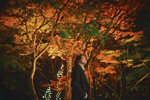 神戸布引ハーブ園/ロープウェイ