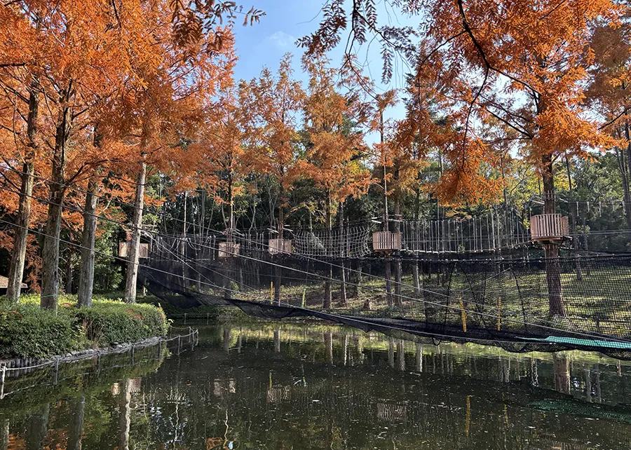 【吹田・万博記念公園】ボウケンノモリ万博記念公園店　街中で楽しめるアクティビティを体験レビュー！（難易度や持ち物も）