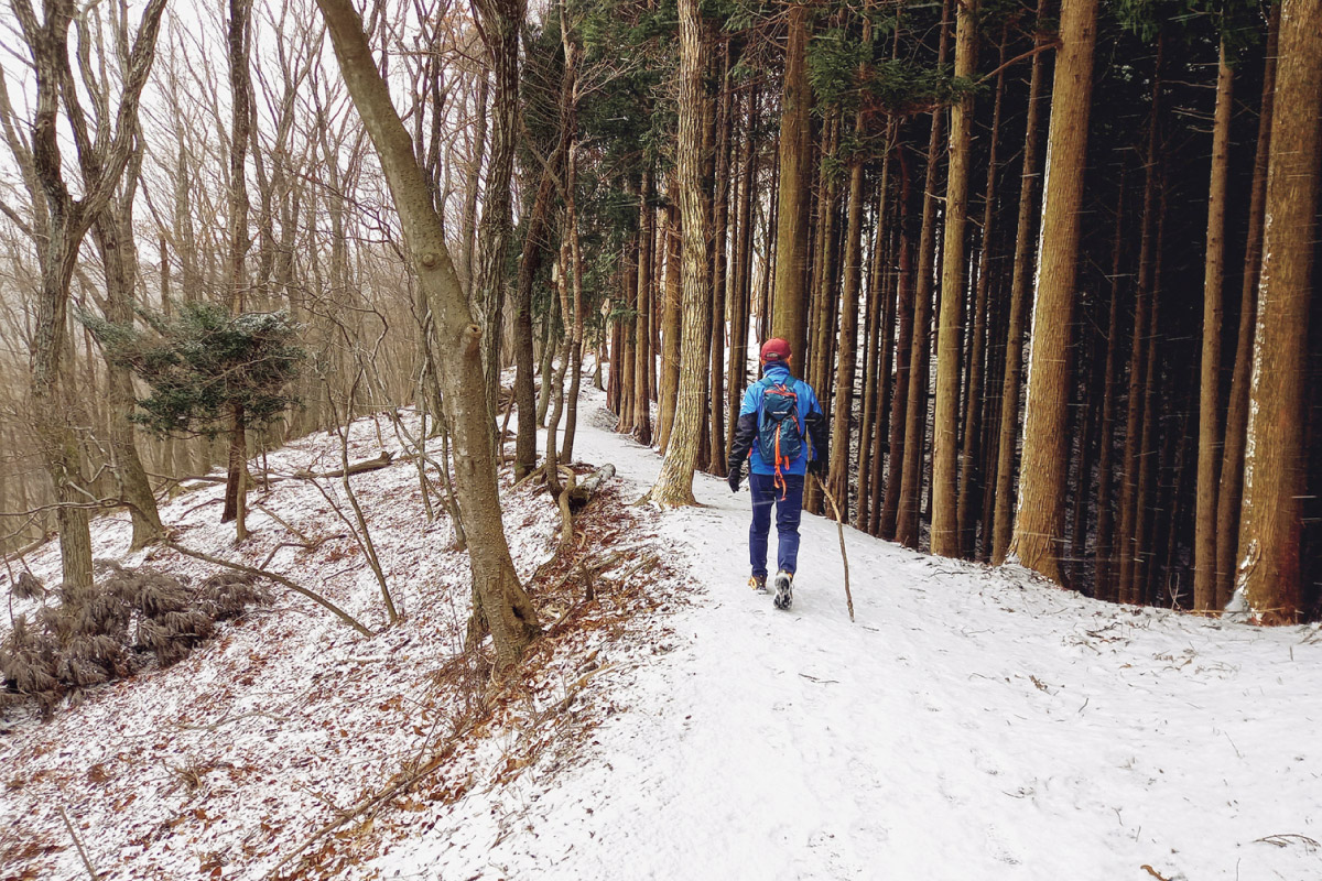 のせでん耐寒ハイキング 2月11日（祝）開催！能勢妙見山「開運お火焚祭り」を目指して「ピーク444から能勢妙見山・大堂越コース」