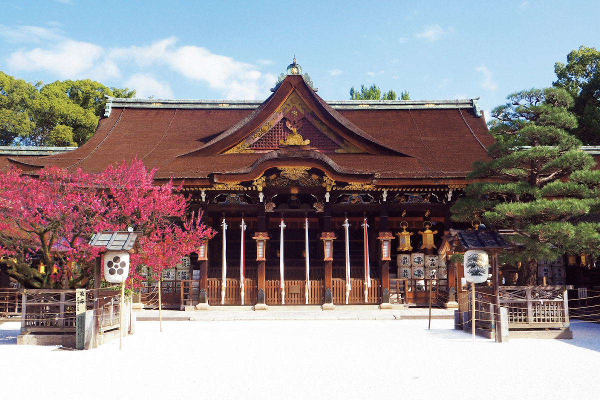 梅の花香る早春の京都を訪ねるウオーキングイベント「下鴨神社から船岡山、北野天満宮コース」2月26日（水）開催