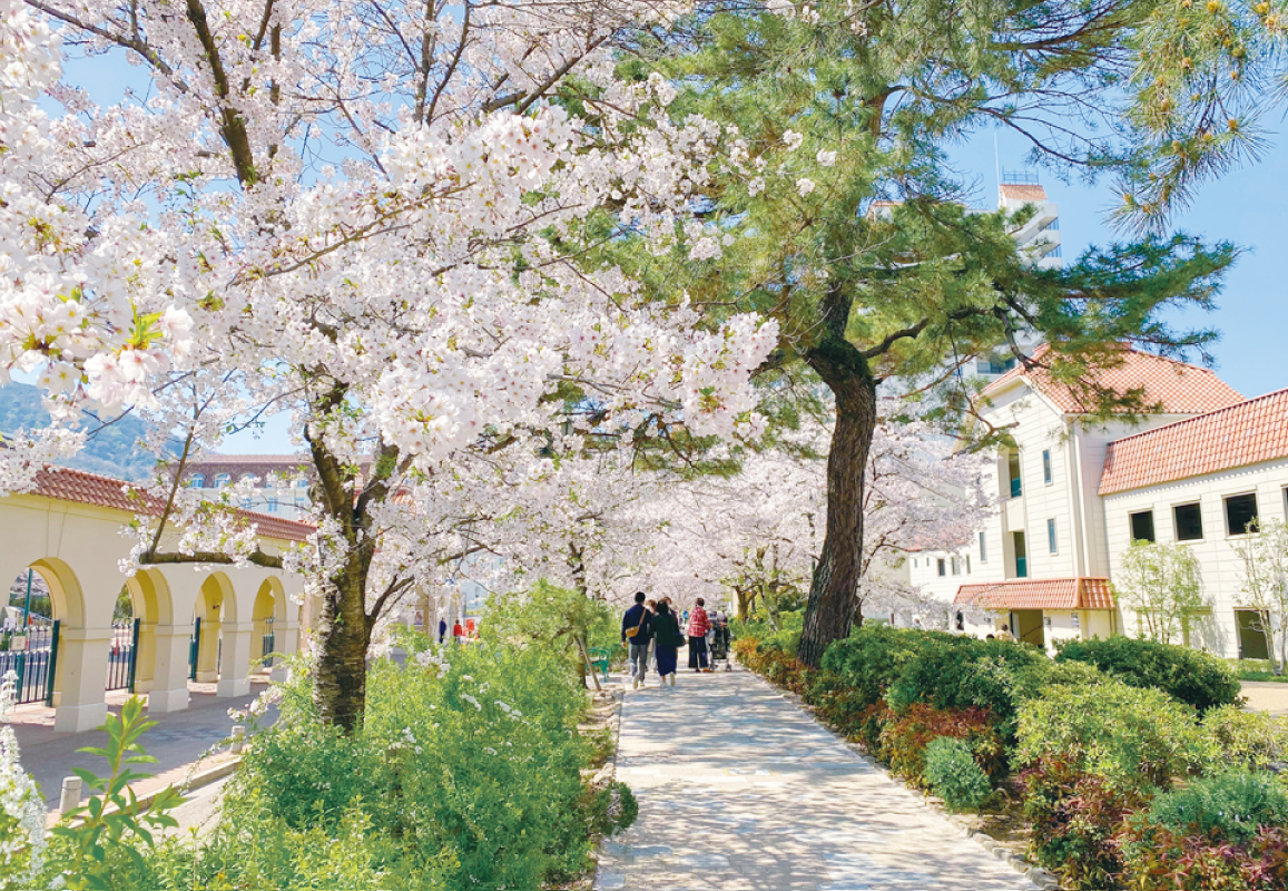 【2026年最新】宝塚・池田・吹田・豊中周辺 北摂エリアの桜・お花見スポット6選