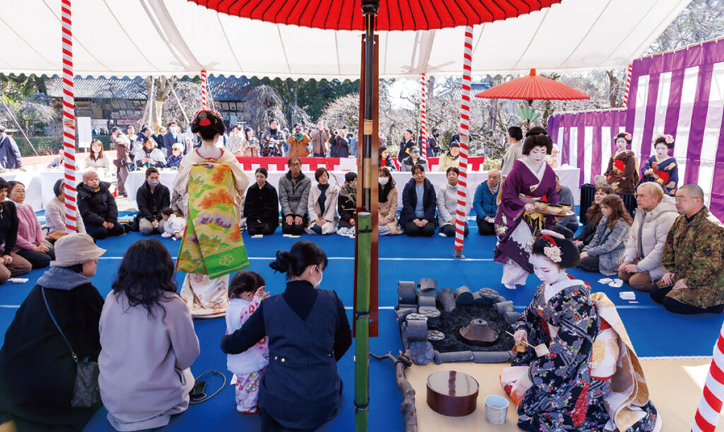 菅公ゆかりの紅白の梅が咲き競う。北野天満宮「梅花祭」2月25日（水）開催
