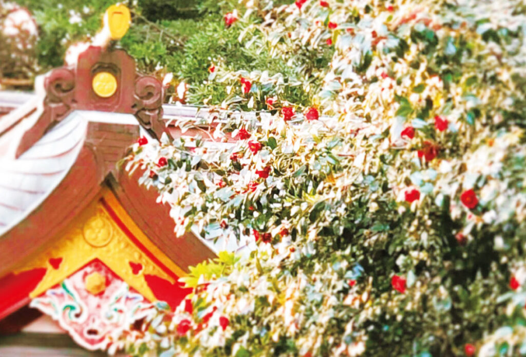 椿が見事な境内で無病息災を願う。越木岩神社「鎮花祭」3月8日(日)開催