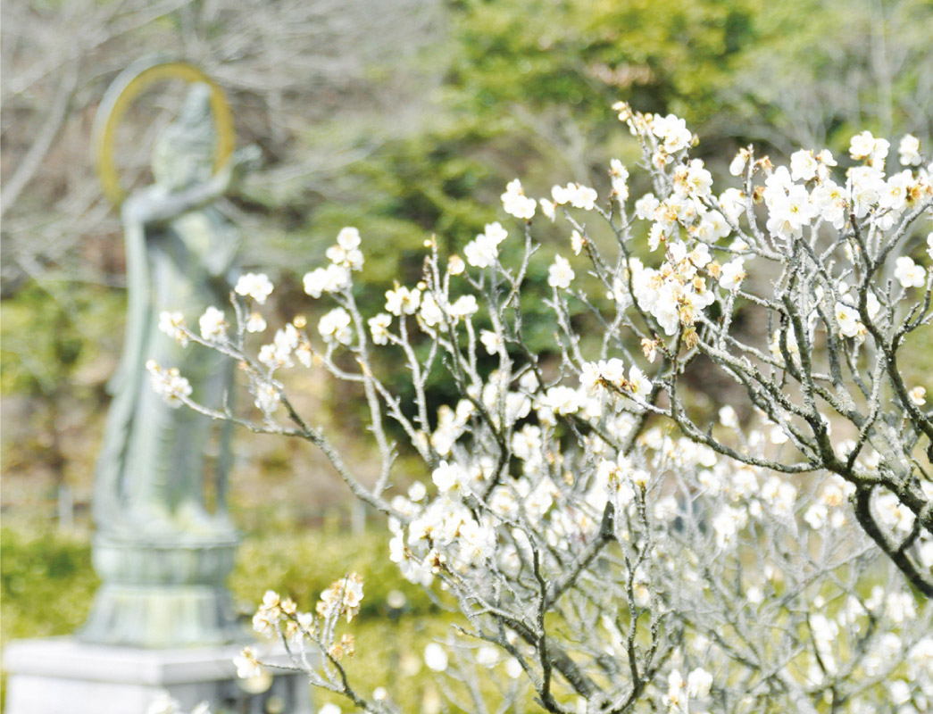 紅白の梅が咲き誇る春の祭典。中山寺「梅まつり」が3月1日（日）開催